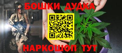 дмт Сланцы
