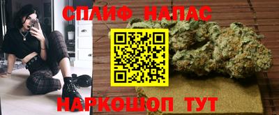 дмт Сланцы