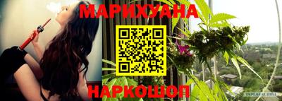 дмт Сланцы