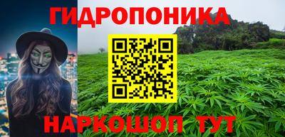 дмт Сланцы
