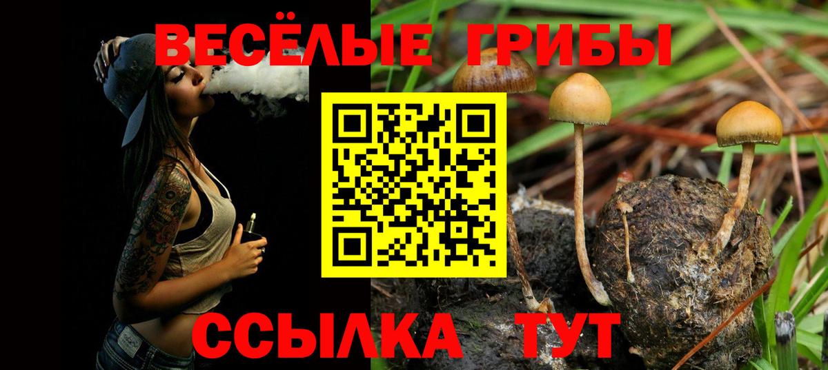 Орехово-Зуево  Псилоцибиновые грибы прущие грибы  Вход с VPN  Псилоцибиновые грибы мицелий 